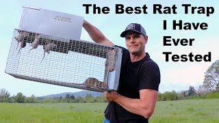 The Best Rat Trap I Have Ever Tested The Uhlik Repeater Trap Mousetrap Monday [upl. by Ardra]