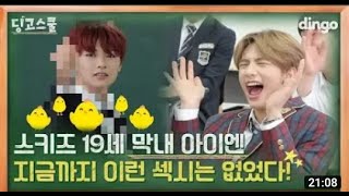 Türkçe Altyazılı STRAY KIDS Dingo School EP1 [upl. by Thetos861]