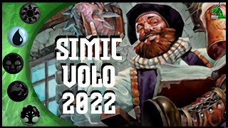 SIMIC VOLO Standard 2022 DampD AFR  MTG Arena  Magic Arena  MTGA [upl. by Soirtemed]