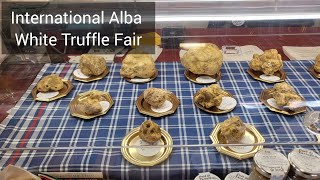 3 min Alba  International Alba White Truffle Fair  40 Years of Flavor [upl. by Wycoff978]