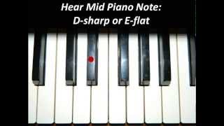 Hear Piano Note  Mid D Sharp or E Flat [upl. by Edelsten]