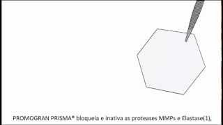 PROMOGRAN PRISMA Matriz para o Equilíbrio de Feridas  Modo de ação [upl. by Scharff]