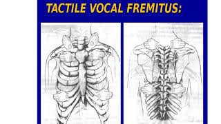 04 Initial survey of respiration and the thorax Chest inspection [upl. by Claudina]