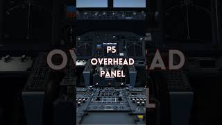 ALL PANELS IN THE B737 COCKPIT aircraft aviation aviation4u aviationtips [upl. by Papert516]