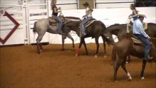 Reichert Celebration AQHA Horse Abuse [upl. by Oeak]