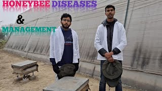 Diseases of Honeybee amp their management  ENT401  School of Agriculture  LPU [upl. by Amund]