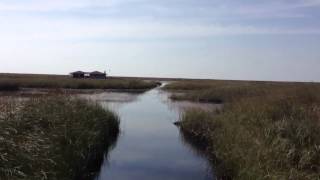 Airboat ride area 2a Everglades quotWillardsquot camp [upl. by Tshombe315]