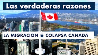 La MIGRACION 💣 colapsa a CANADA 🇨🇦 [upl. by Nwahsad317]