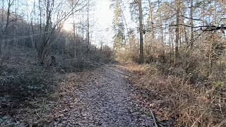 unintentional ASMR  come with me on a walk in the cold [upl. by Ecarg]