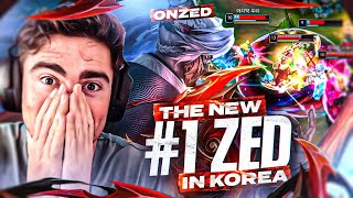 Everybody is TERRIFIED of the NEW 1 ZED KOREA [upl. by Reifnnej618]