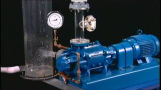 NASH Liquid Ring Vacuum Pump Reliability [upl. by Tsiuqram266]