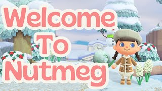 Entrance Build  Winter Christmas Cottagecore Island  ACNH Animal Crossing New Horizons [upl. by Leandre]