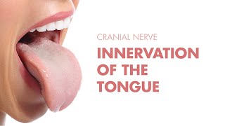 Innervation of the Tongue  Cranial Nerves  MEDZCOOL [upl. by Ierdna904]