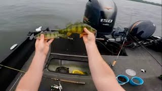 Perch Fishing Green Bay 62124 [upl. by Stricklan]