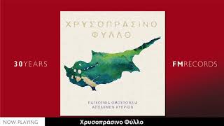 Νεανική Χορωδία Έδεσσας – Χρυσοπράσινο Φύλλο Μίκης Θεοδωράκης [upl. by Scevour]