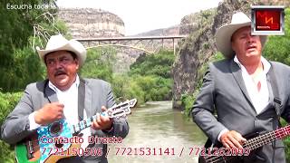 Grabamos bajo el famoso puente en Taxquillo Hgo Trio quotTORMENTA DE HIDALGOquot [upl. by Haridan767]