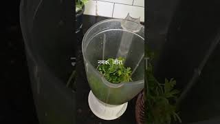 मूंगफली के😋 साथ वाली बिल्कुल बाजार की तरह😋 वाली चटनी ☺food ytshorts chatni cookingtips recipe 😋 [upl. by Nayek639]