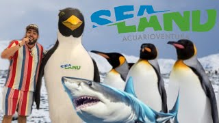 SEALAND MONTERREY 🌊 EL MEJOR ACUARIO CON PINGÜINOS 🐧RECORRIDO COMPLETO Y PRECIOS [upl. by Yelnet954]