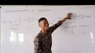 Biotransformation of Parathion [upl. by Etnecniv]