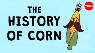 The history of the world according to corn  Chris A Kniesly [upl. by Aneehsak400]