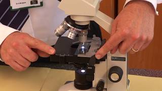 GCSE Biology 91 Triple Required Practical 1  Microscopes [upl. by Alhan]