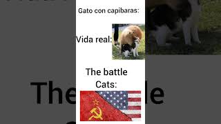 Shale 😔 azscreenrecorder memes humor battlecatsandroid [upl. by Ihsar88]