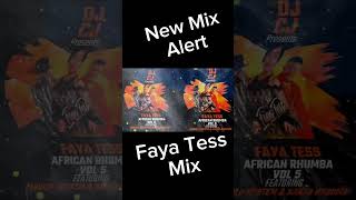 Faya Tess non Stop mix rhumba music nonstopmix shorts djcj [upl. by February]