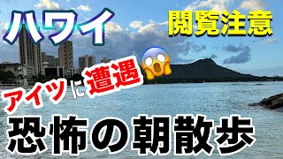 【ハワイ最新】閲覧注意⚠️恐怖の朝散歩、アイツに遭遇、ハワイの朝活 [upl. by Antonietta]