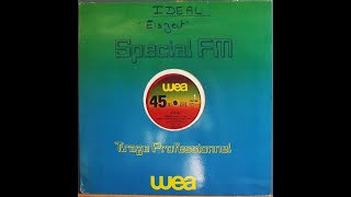 Ideal  Eiszeit  1981  NDW [upl. by Airtened]