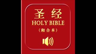 和合本圣经 • 阿摩司书  Chinese Union Version Bible • Amos [upl. by Alicsirp]