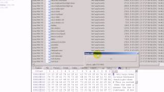 Video 25  Creating and Using Custom Hash Sets with XWays Forensics [upl. by Singleton]