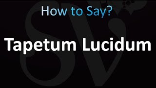 How to Pronounce Tapetum Lucidum [upl. by Nner242]