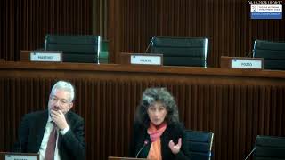 Intervento in III commissione su Legge di assestamento 04102024 [upl. by Hanavas]