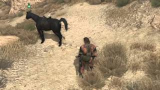 MGSV DHorse  A Riders Guide [upl. by Proudlove776]