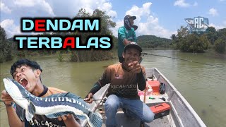 Casting IKAN TOMAN Ketika Demam redahcaster toman giantsnakehead [upl. by Piper228]