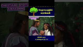 Bible  tree  trees in bible  வேதாகமத்தில் மரங்கள்  Christians spiritual Awakening  believe [upl. by Marala]