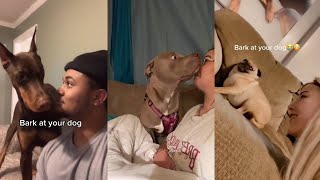 bark at your dog  tiktok compilation [upl. by Dasa]