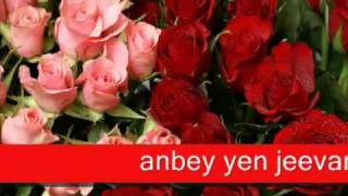 YouTube  ennavaley ennai melody Malaysia tamil songflv [upl. by Adnovoj991]