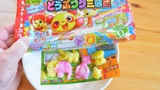 【知育菓子】どうぶつグミ図鑑 Handmade animal type gummy [upl. by Saffian]