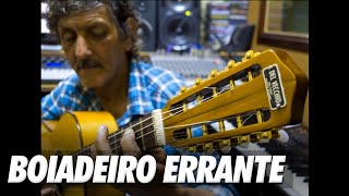 BOIADEIRO ERRANTE  VIOLA INSTRUMENTAL GOIANITO [upl. by Weed269]