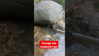 semoga ada sangkutan lagi ges shortvideo mancing sungaipegunungan like spotsungai nature the [upl. by Liamaj]