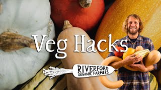 Squash Special  Quick Guide to Squash  VEG HACKS [upl. by Honebein944]