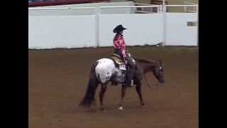 Inpassable 06 World Champion Western Riding [upl. by Monetta]