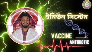 ইমিউন সিস্টেম এর সাথে ভ্যাক্সিন এবং এন্টিবায়োটিক এর সম্পর্কImmune SystemVaccine amp Antibiotic [upl. by Sremlahc79]