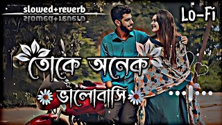 Toke Onek Valobashi  তোকে অনেক ভালোবাসি  Lerics song🎶slowedreverbLoFi Song🌹ajrshorta [upl. by Blynn]