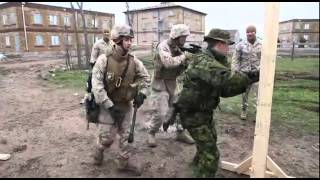 US Marines Canadian forces team up for bilateral training exercise [upl. by Longerich124]