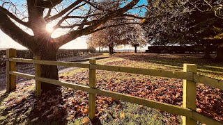 Walking at Cotswolds in Autumn beautiful and peaceful [upl. by Emersen604]