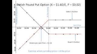 Currency Options StepbyStep [upl. by Eyeleen]