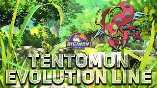 Tentomon Evolution Line [upl. by Christis]