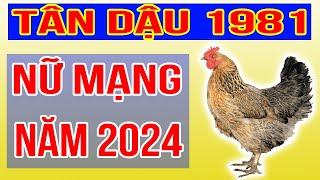 Xem Tử Vi Nữ Mạng Tuổi Tân Dậu 1981 Năm 2024 Giáp Thìn [upl. by Carlen]